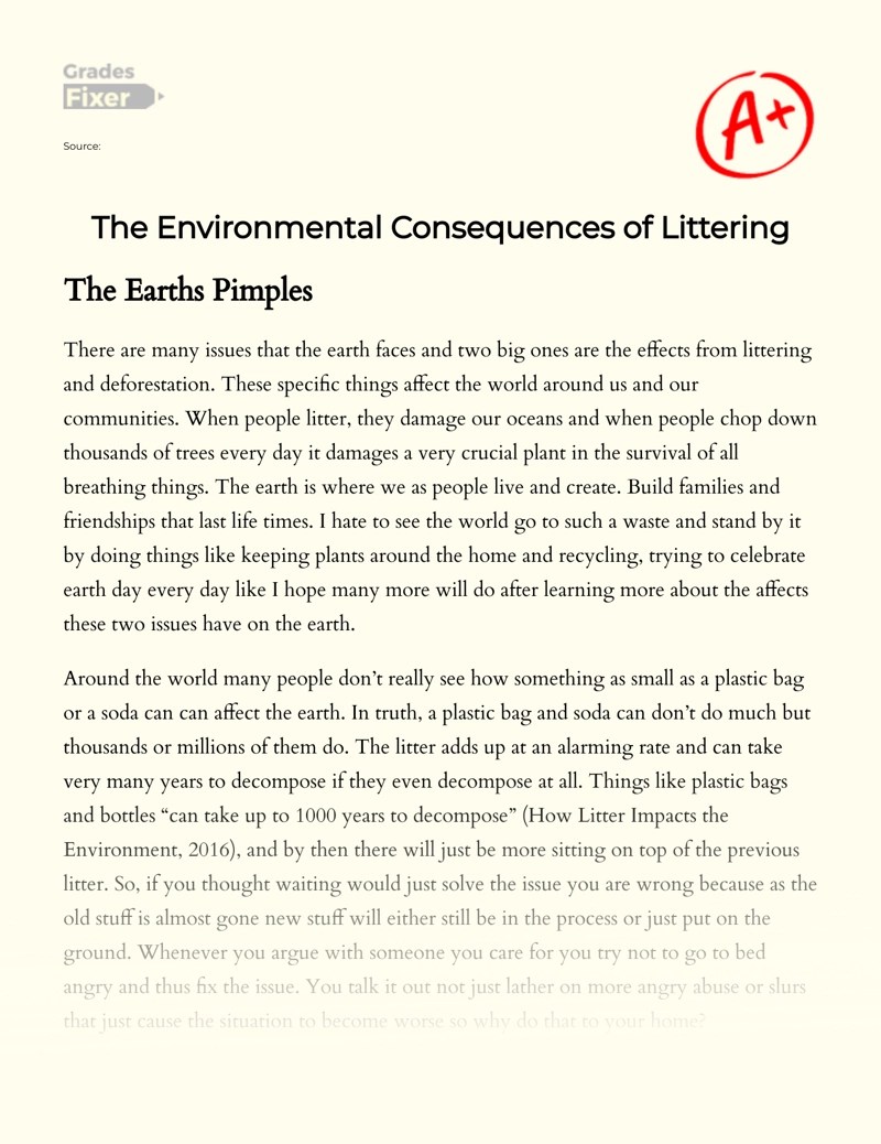 Effects of Littering and the Decision to Stop Littering [Essay Example