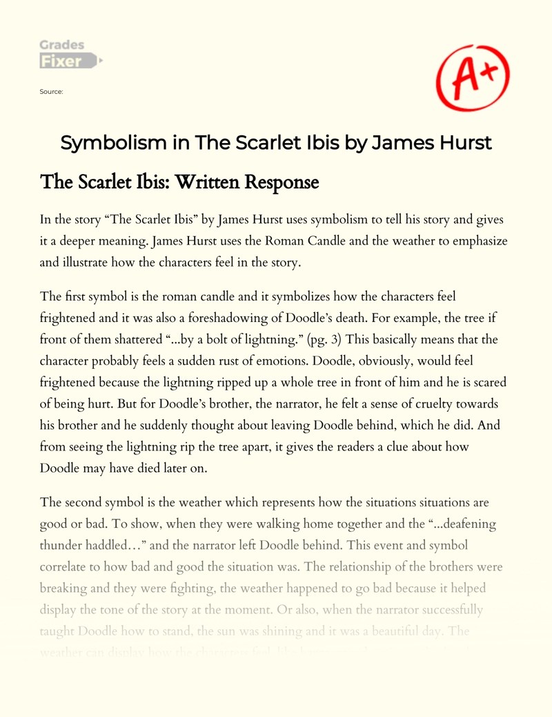 Symbolism in The Scarlet Ibis by James Hurst [Essay Example], 344