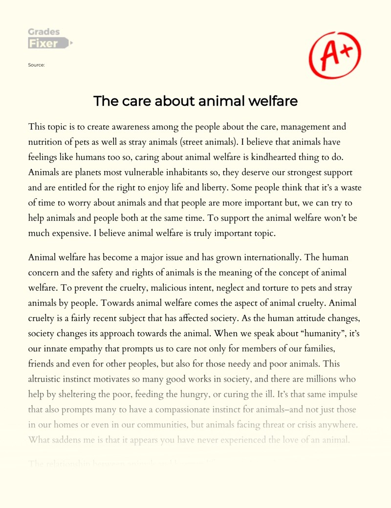 The Care About Animal Welfare [Essay Example], 403 words GradesFixer