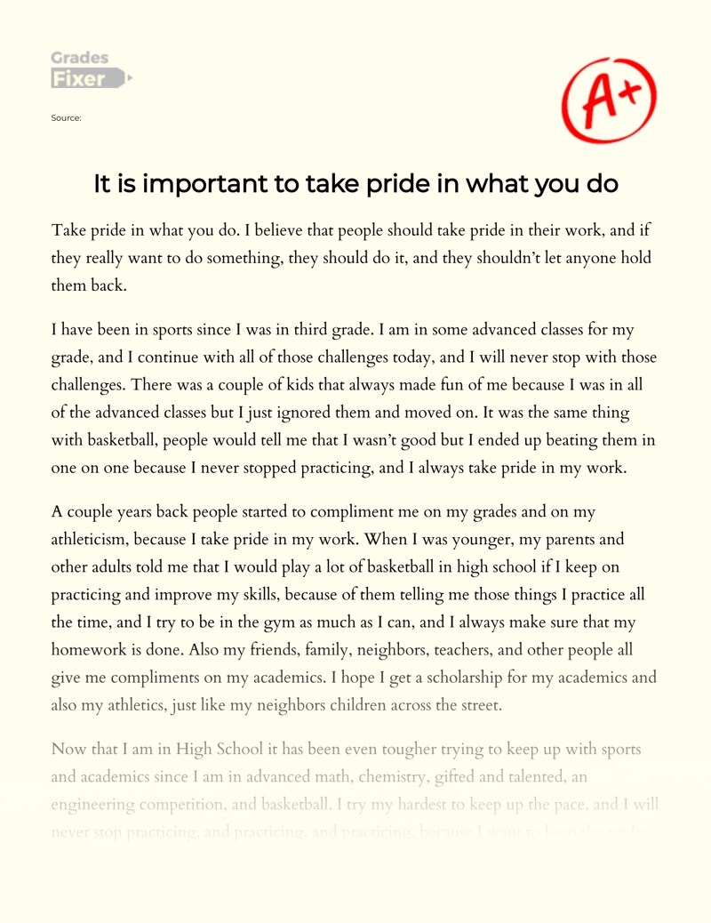 It is important to take pride in what you do [Essay Example], 545