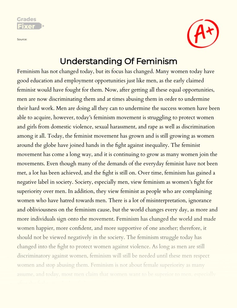 What does Feminism Really Mean [Essay Example], 600 words GradesFixer