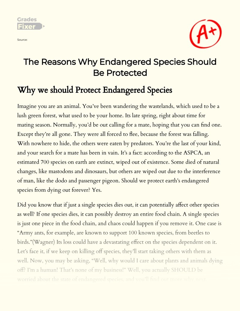 Circle of Life Why Should We Protect Endangered Species [Essay