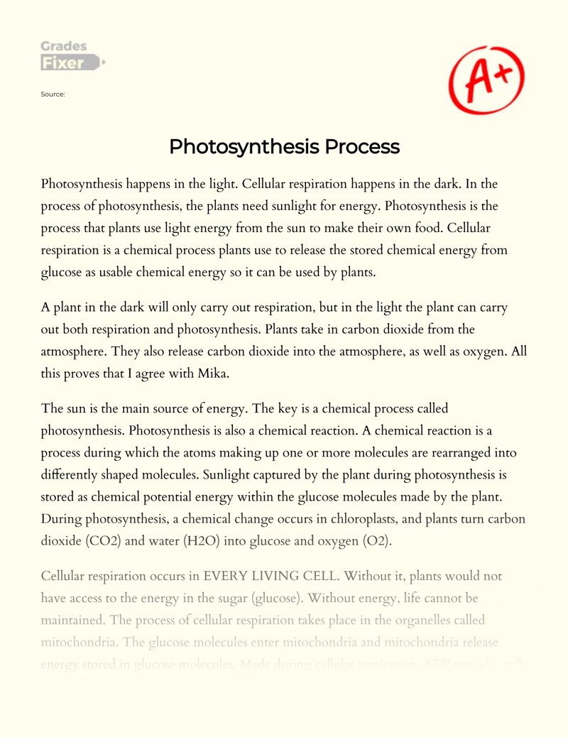 Photosynthesis Process [Essay Example], 423 words GradesFixer