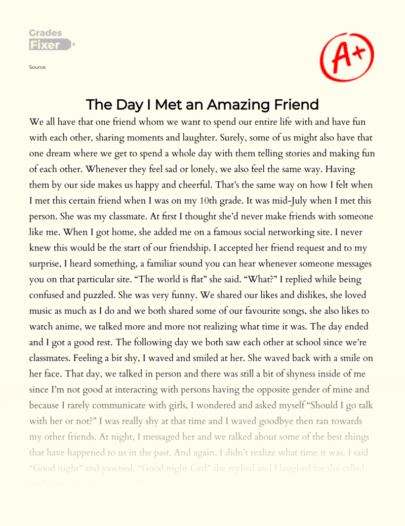 The Day I Met an Amazing Friend Relationship Topic Essay