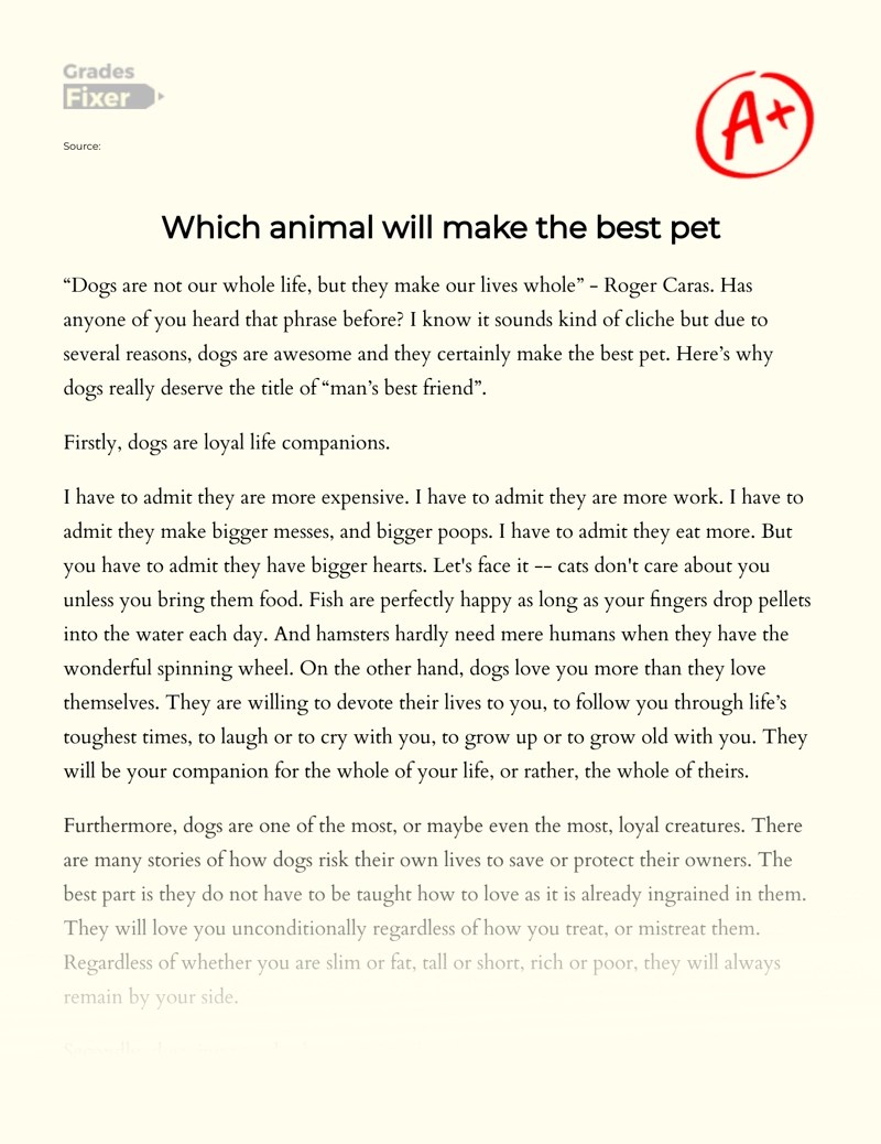Which animal will make the best pet 539 words [Essay Example] GradesFixer