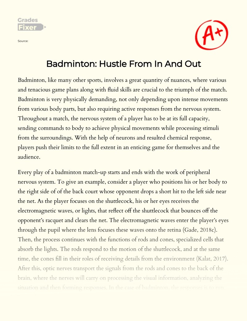 Badminton Hustle From In And Out [Essay Example], 1027 words GradesFixer