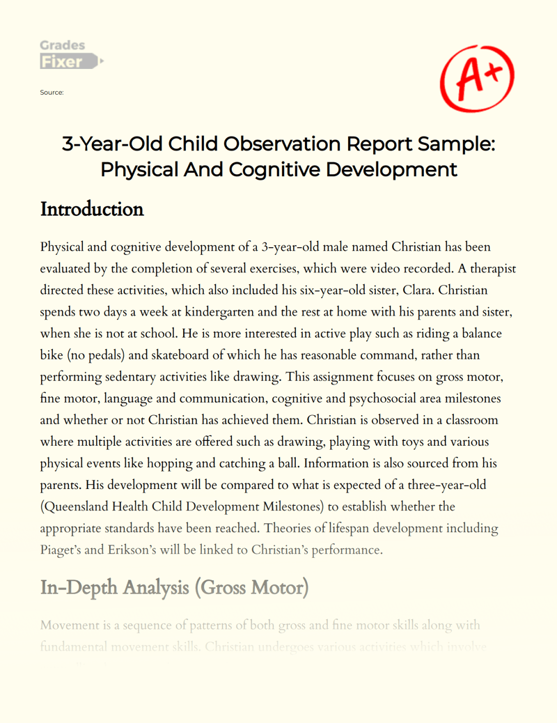 3YearOld Child Observation Report Sample Physical And Cognitive