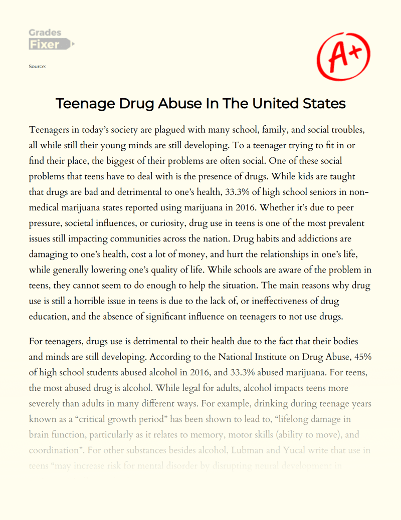 Teenage Drug Abuse In The United States [Essay Example], 1000 words