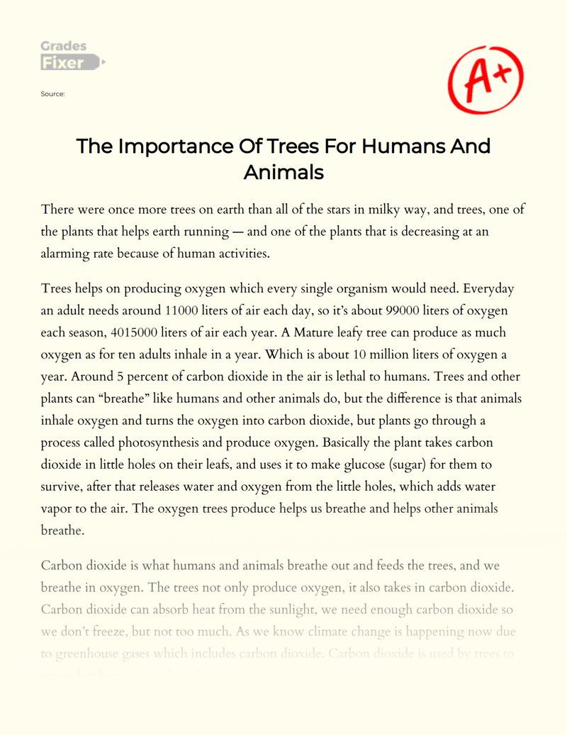 The Importance Of Trees For Humans And Animals [Essay Example], 2178