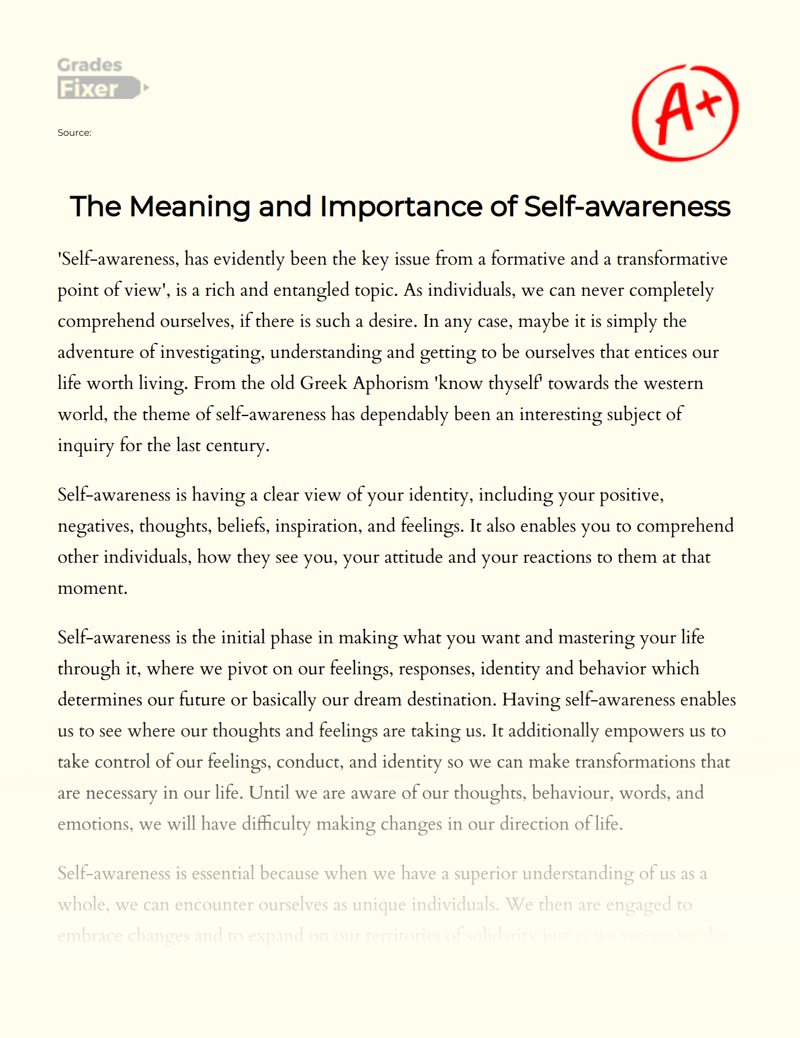 The Meaning and Importance of Selfawareness [Essay Example], 675
