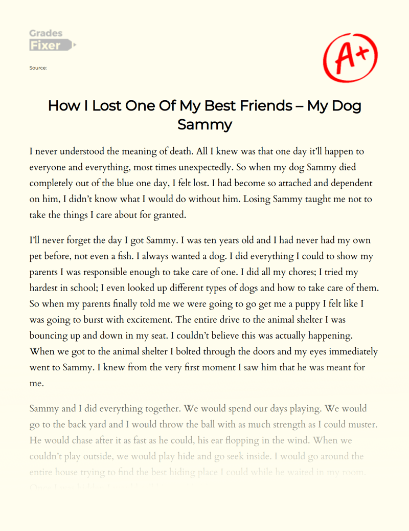 How I Lost One Of My Best Friends My Dog Sammy [Essay Example], 766