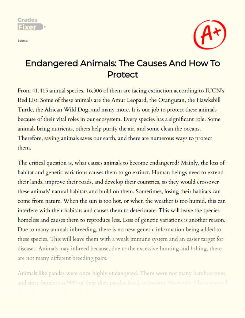 Endangered Animals The Causes And How To Protect [Essay Example], 541