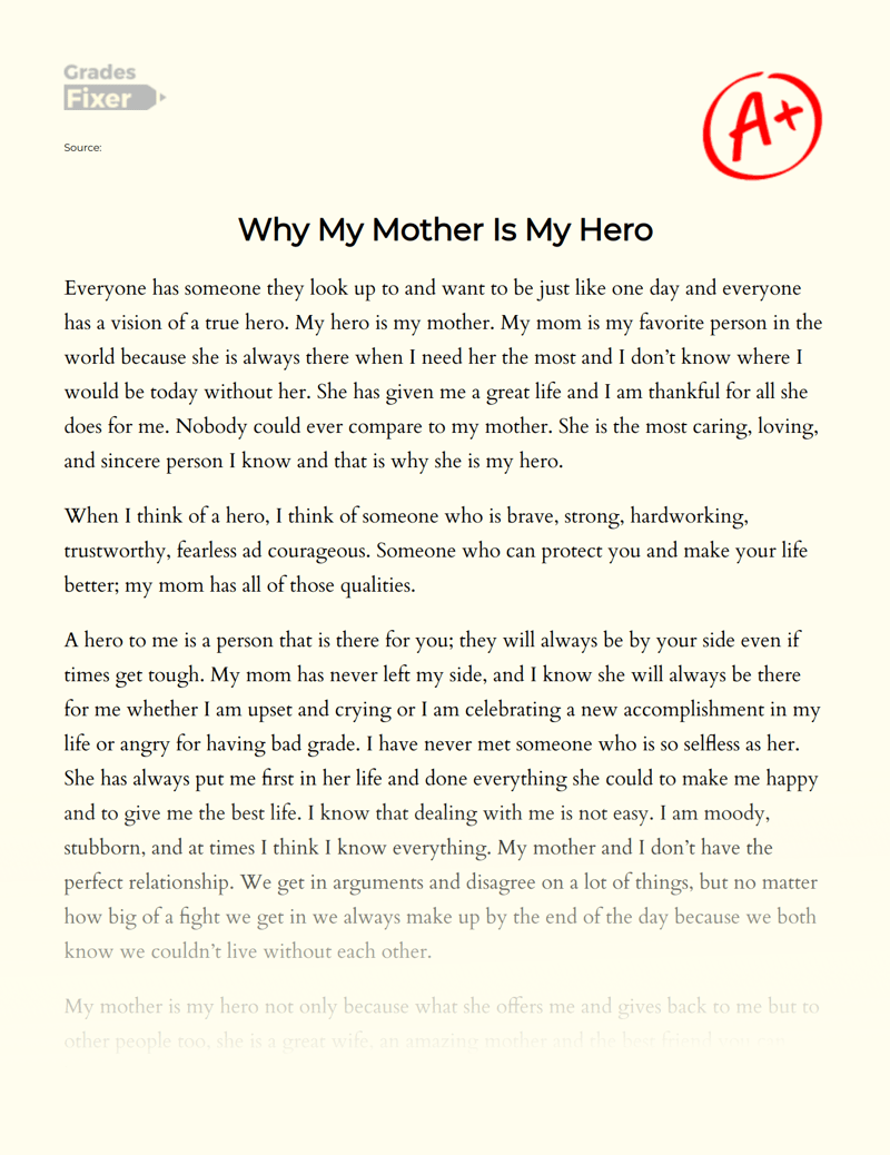 Why My Mother Is My Hero [Essay Example], 516 words GradesFixer