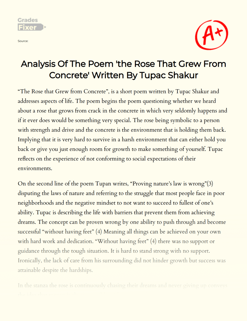 Analysis Of The Poem 'the Rose That Grew From Concrete' Written By Tupac Shakur [Essay Example