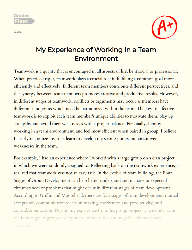My Experience of Working in a Team Environment [Essay Example], 459