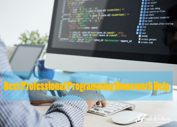 Technical Programming Homework Help Services The Top Programming Experts
