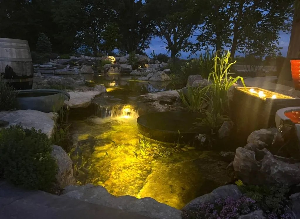 The Best Pond Lighting Guide For Any Pond Owner
