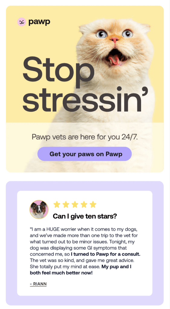 Get more clients with these 5 veterinary email marketing tips