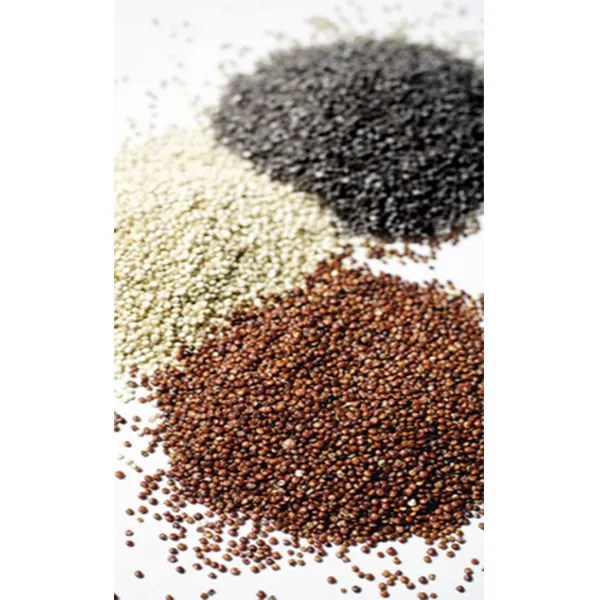 Quinoa Roja 25 Kg Gradoalimenticio