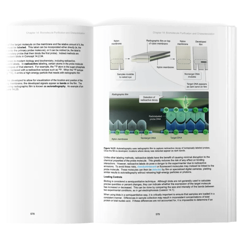 MCAT® Prep Books from UWorld in Print & Digital