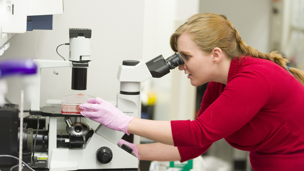 Microbiology, Immunology, & Pathology Colorado State University