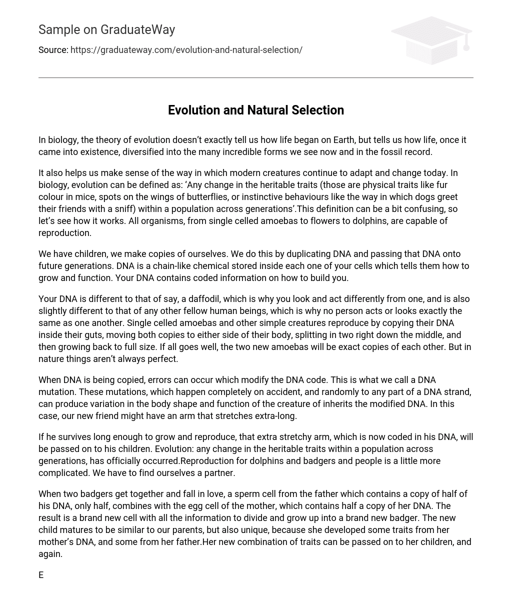 ⇉Evolution and Natural Selection Essay Example GraduateWay
