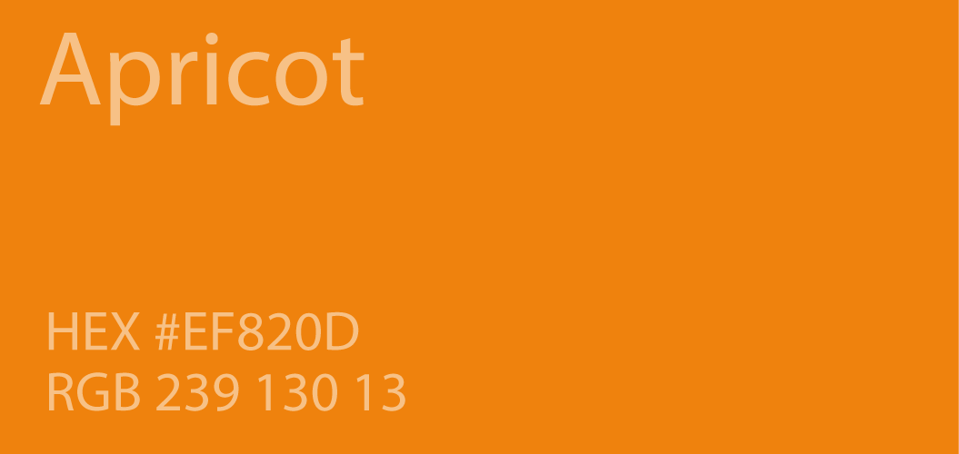 24 Shades of Orange Color Palette