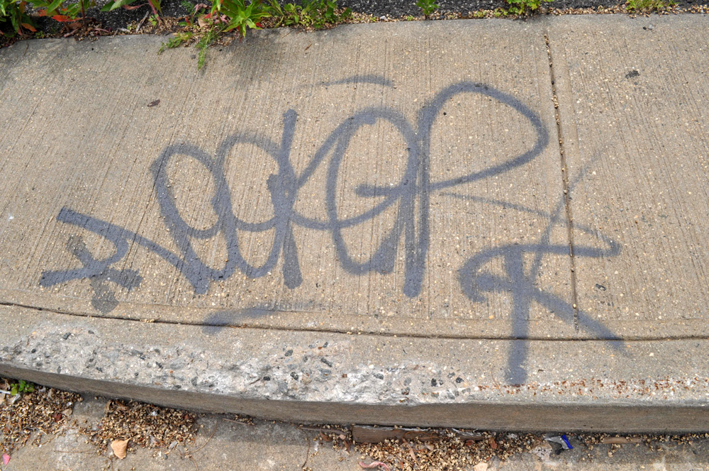 VEEFER The Great Gallery of Graffiti