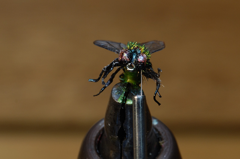 step by step tutorial creating a realistic house fly