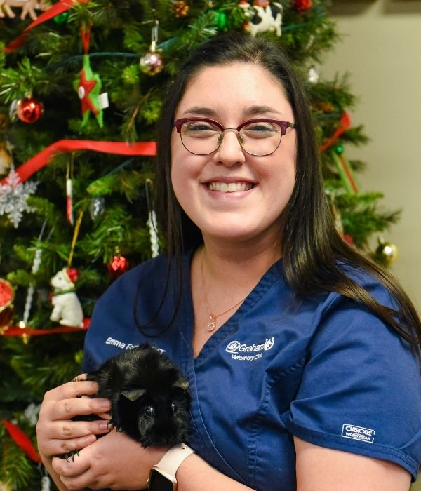 Arthur, IL 61911 Veterinarians Graham Veterinary Clinic