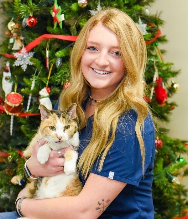 Arthur, IL 61911 Veterinarians Graham Veterinary Clinic