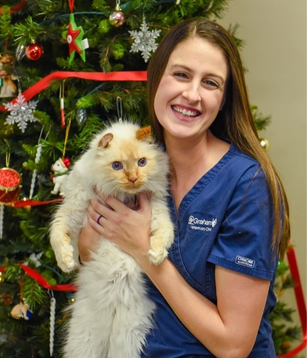 Arthur, IL 61911 Veterinarians Graham Veterinary Clinic