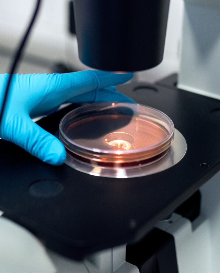 GRAIL Announces Partnership with Alignment Health Plan as First