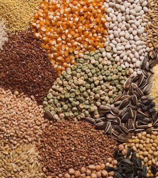 WHY MULTI GRAIN FLOUR IS A BOON FOR YOUR DIET