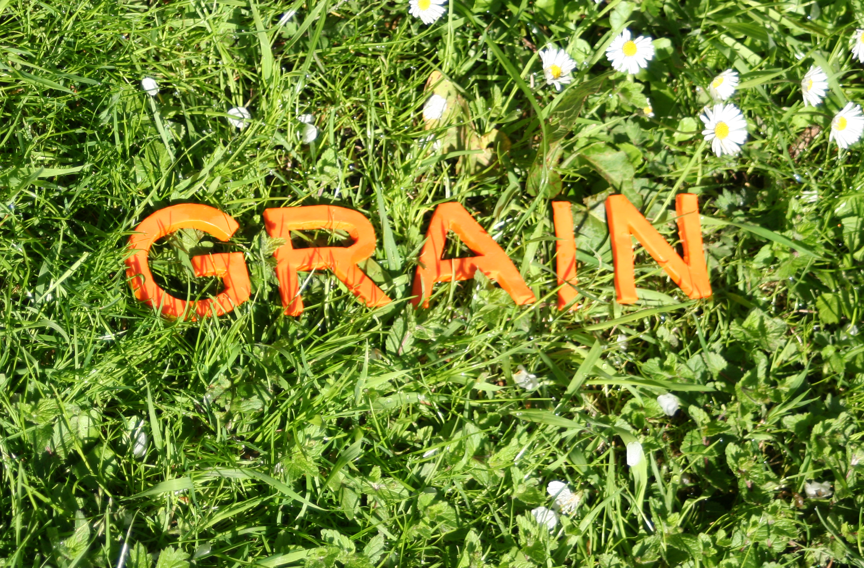 grasscover Grain Creative