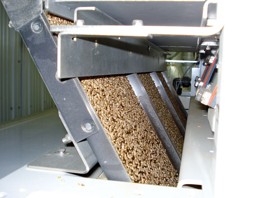 SEEDS OF SUCCESS grainswest