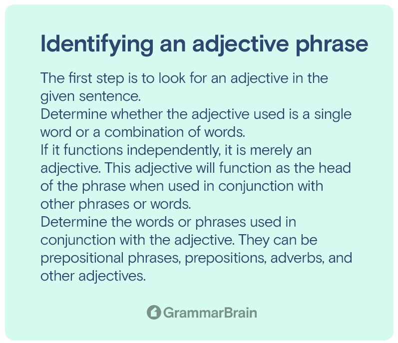 What's an Adjective Phrase? (Definition, Examples, Grammar Rules