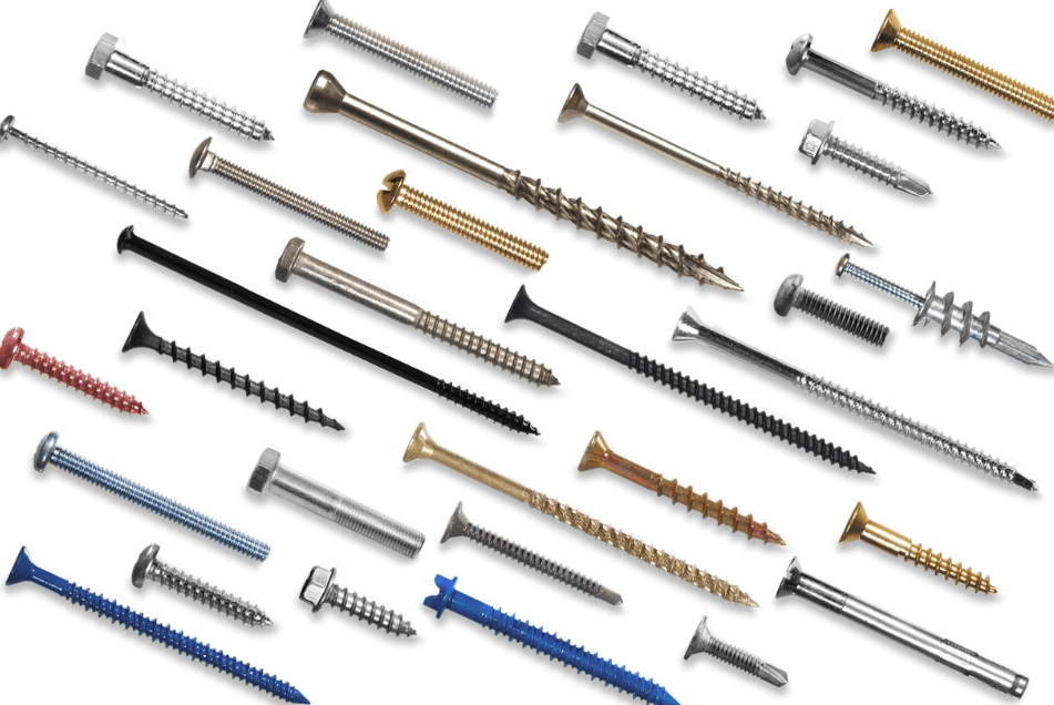 The Various Screws in New Zealand and Their Uses