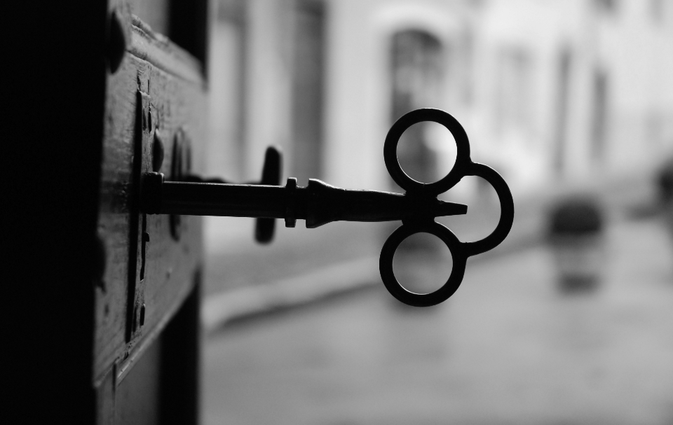 Most Reputable Security Door Installations Kings Security Doors