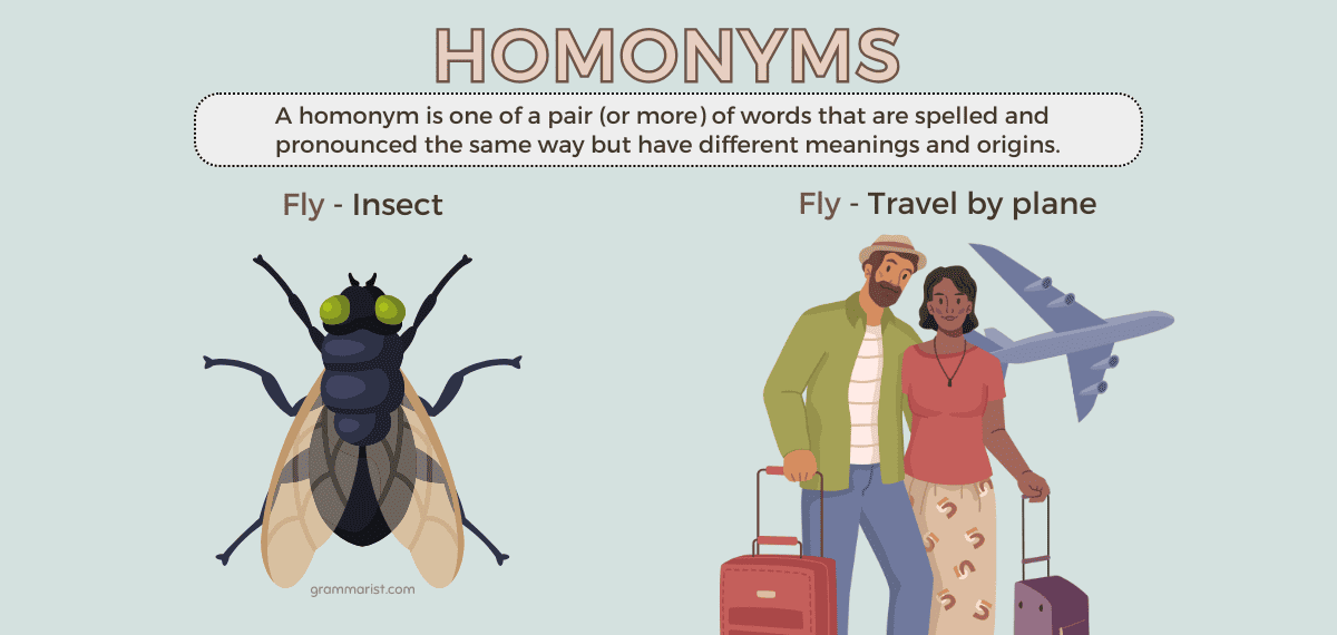Homonyms Meaning, Rules, Usage, and Guide