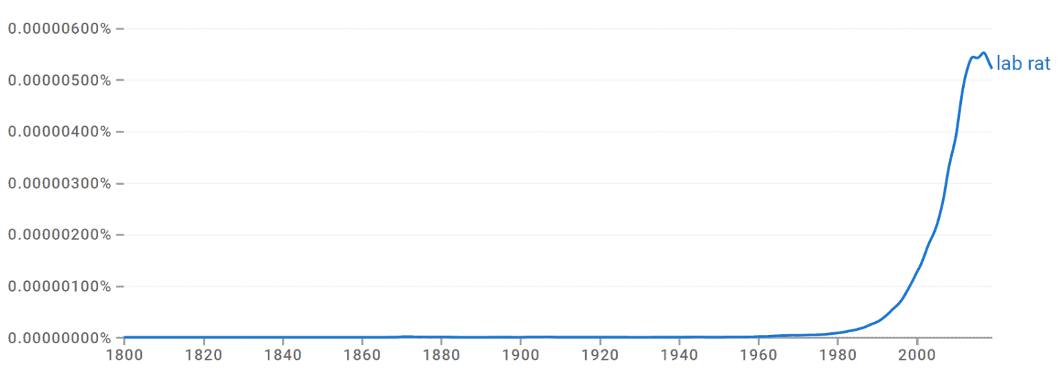 What Is a Lab Rat? Origin & Meaning
