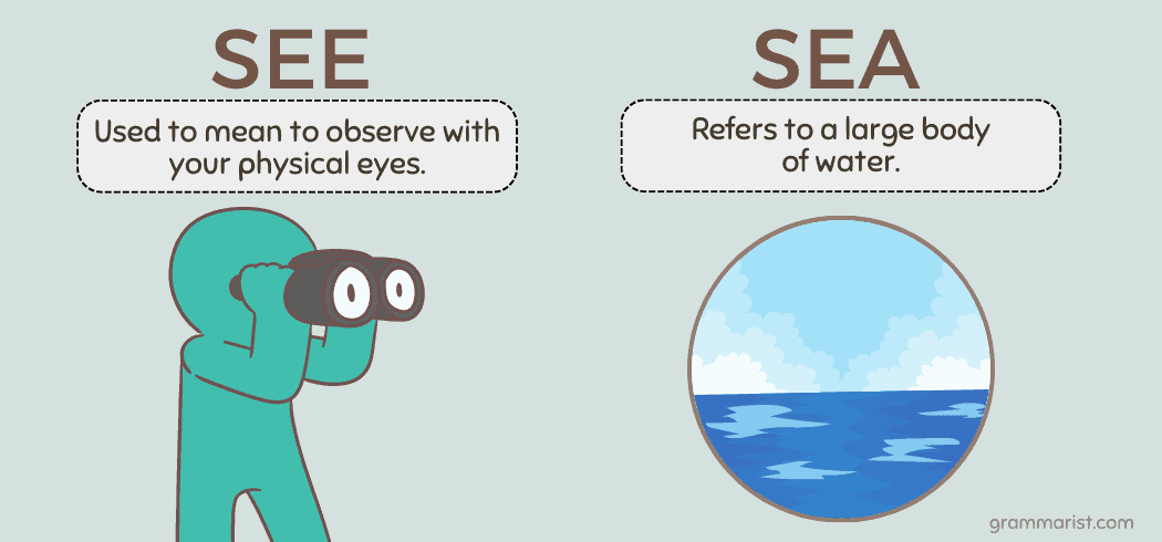 See vs. Sea - Usage, Difference & Meaning
