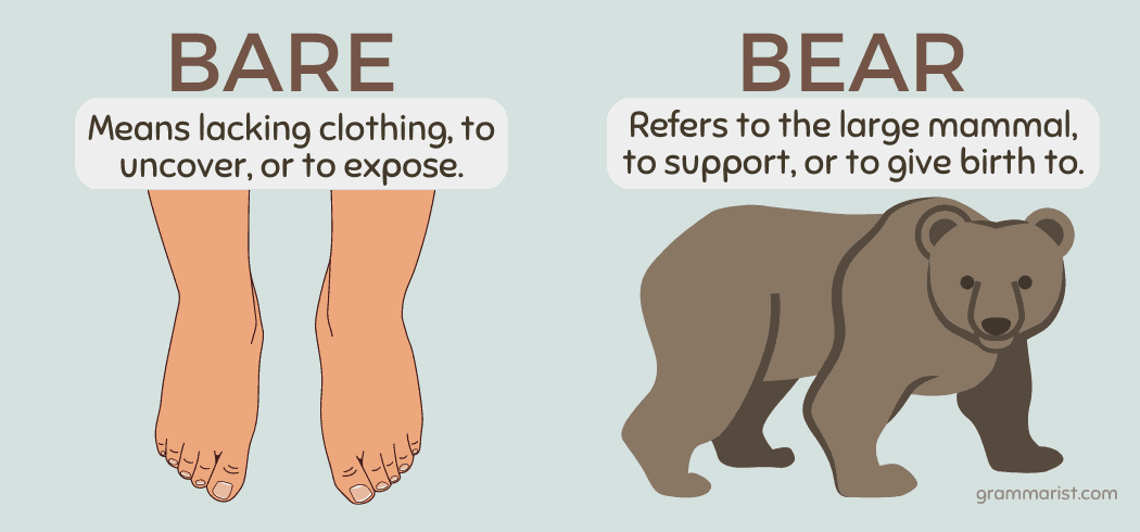 Bare vs. Bear - Difference, Meaning & Examples