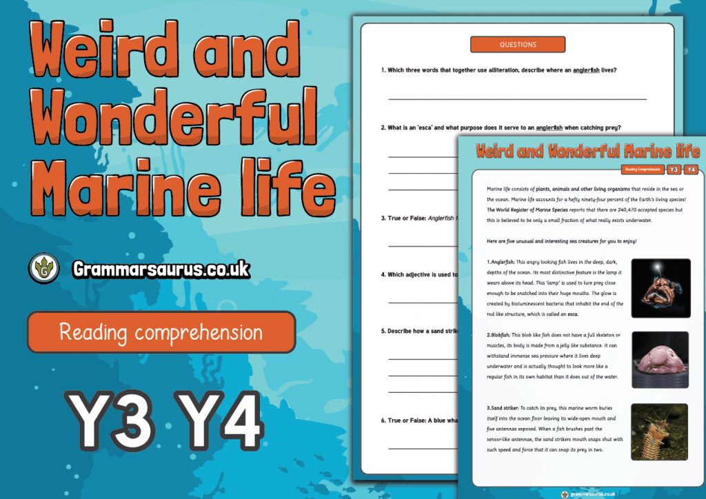 Year 3/4 Reading Comprehension Pack Weird and Wonderful Marine Life