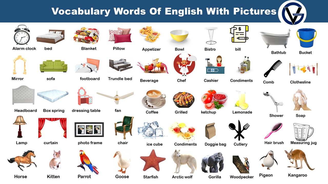 Vocabulary Words of English with Pictures GrammarVocab