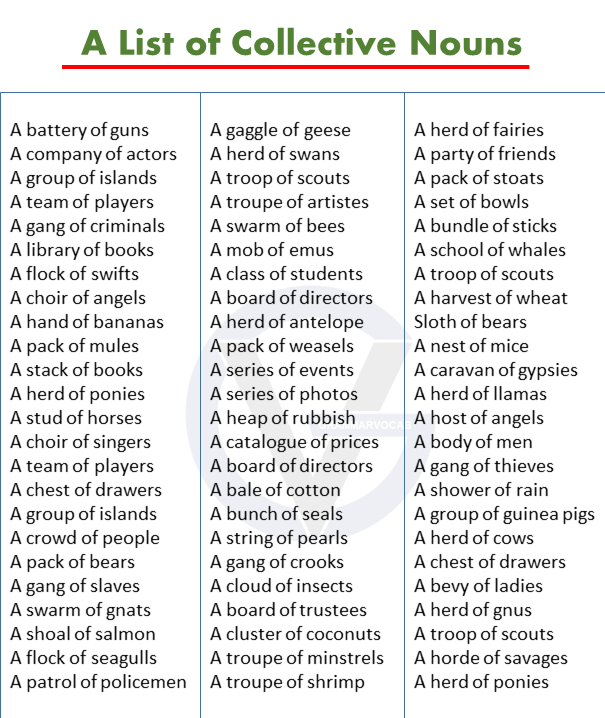 A List of Collective Nouns in English PDF GrammarVocab