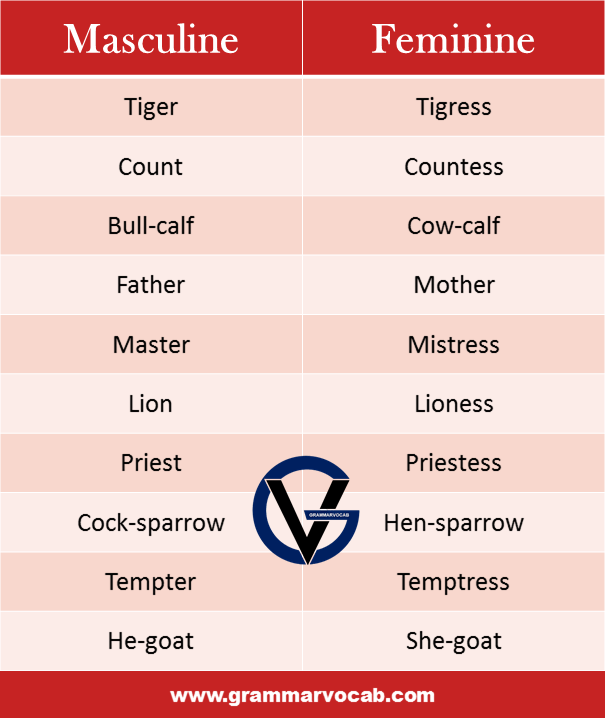 List of Masculine and Feminine Gender Definition & rules GrammarVocab