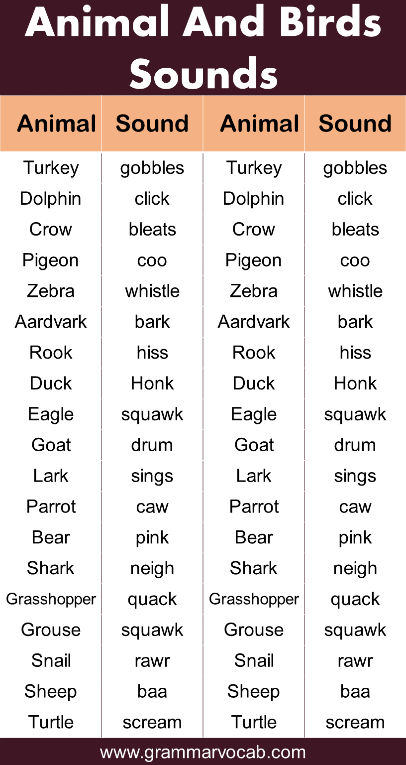 Top 167 + Animal noises list