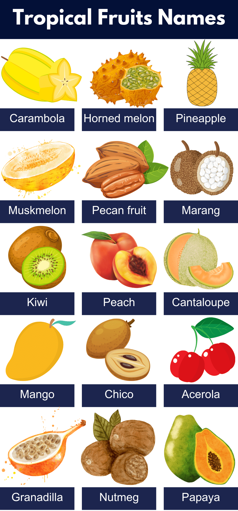 List of All Tropical Fruits Name, Pictures, PDF GrammarVocab