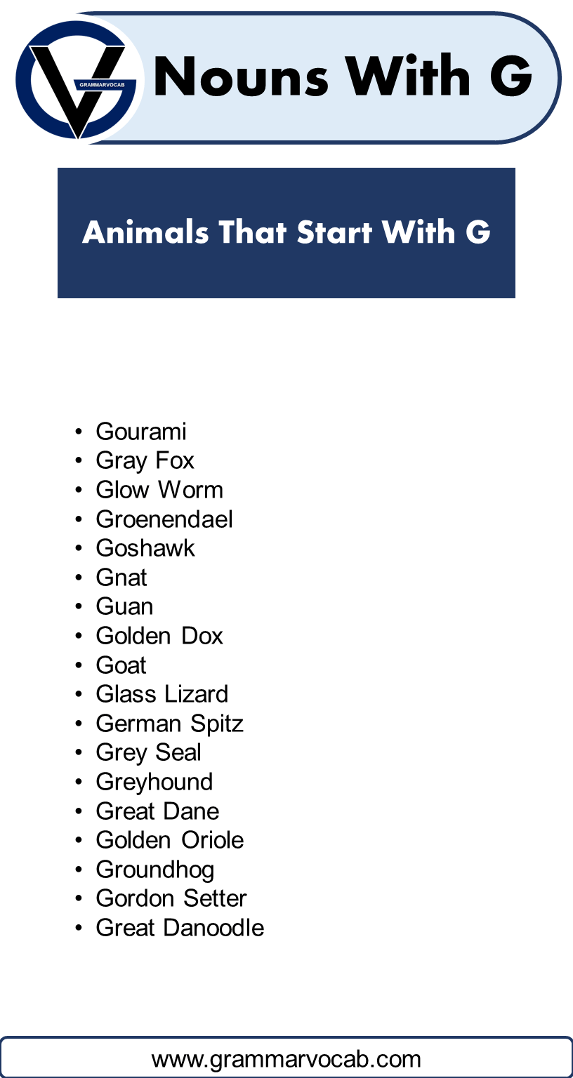 List of Nouns That Start With G GrammarVocab